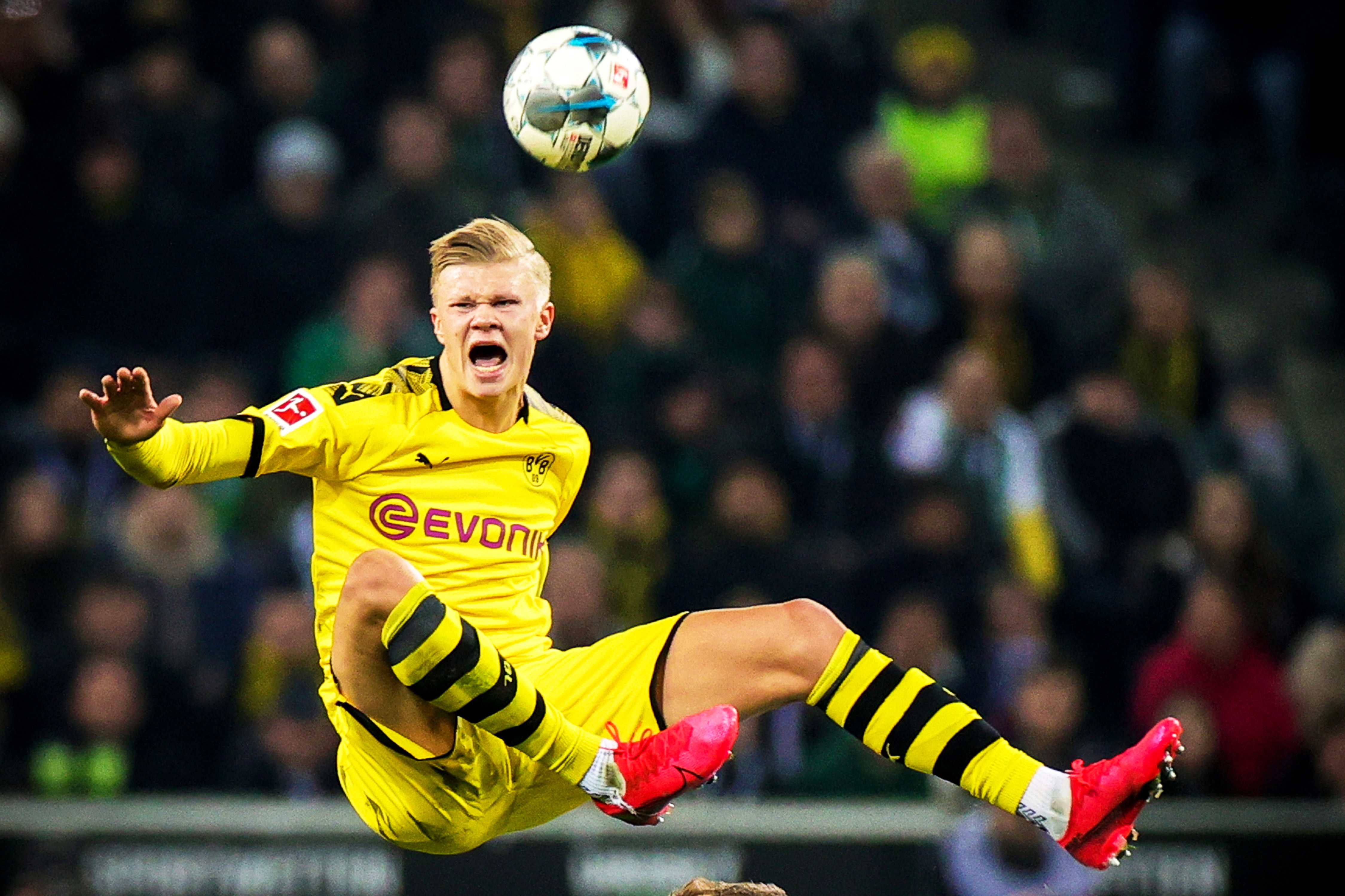 亚冠前瞻：海港PK首尔盼摆脱垫底 国安迎出线生死战（亚冠看点：海港对阵首尔力争脱底，国安决战出线生死关）